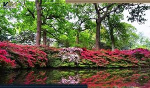 ریچموند پارک