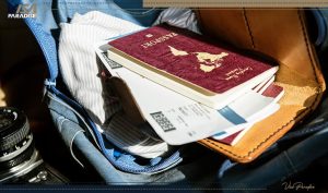 مزایای ویزای سینگل